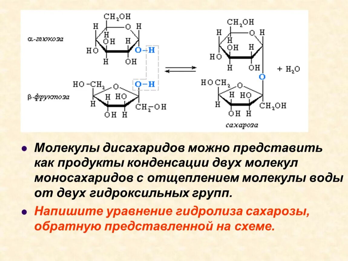 Фруктоза продукт гидролиза. Дисахариды, сахароза схема образования. Исчерпывающее метилирование дисахаридов. Образование сахарозы реакция. Реакция конденсации моносахаридов.