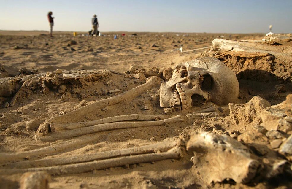 3 тысячи лет жила. Великаны люди скелеты исполины. Исполины нефилимы скелеты. Скелет великана археологическая находка.
