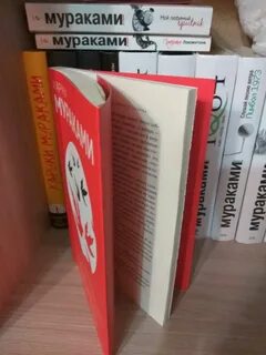 Книга на запад от солнца