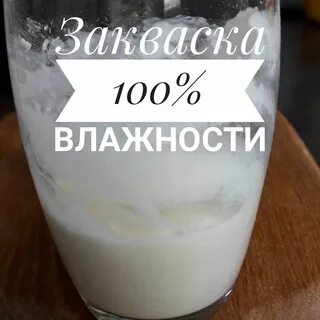 Влажность закваски