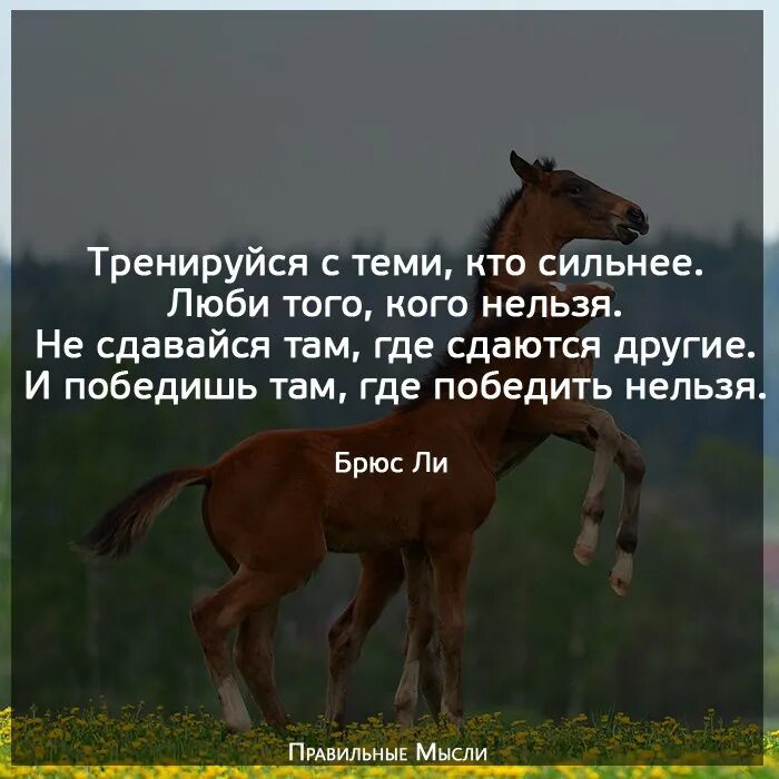 Тренируйся с теми кто сильнее люби того кого нельзя. Тренируйся с теми. Победи там где победить нельзя. Тренируйся с теми кто сильнее цитата.