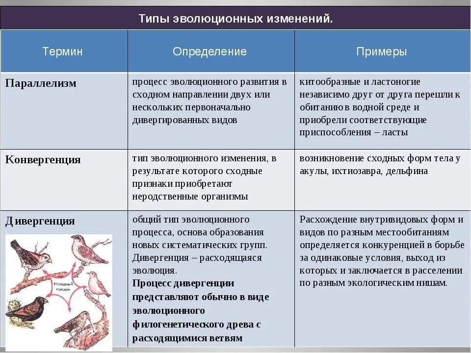 На основании сходства и различий