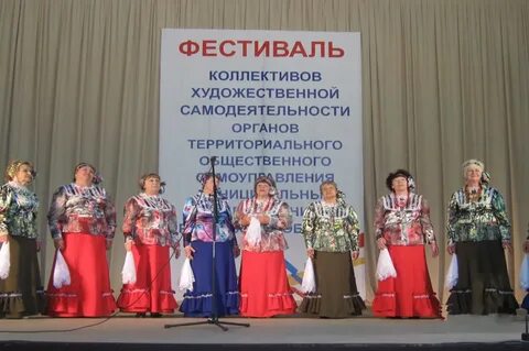 Орган общественной самодеятельности примеры