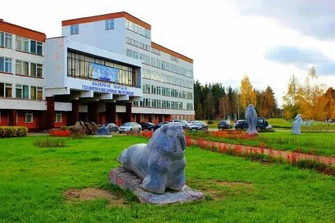Телефон в ломоносове