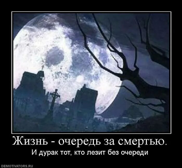 Жизнь очередь. 90-е годы в россии очереди. Очередь за смертью. Сан диего люди. Очереди в ссср 1980.