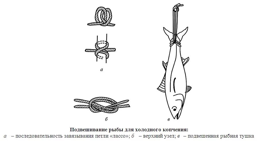 Обвязка рыбы для копчения. Обвязка рыбы для горячего копчения. Обвязка рыбы для копчения шпагатом. Как подвесить рыбу для горячего. Бечева на которую нанизывают рыбу