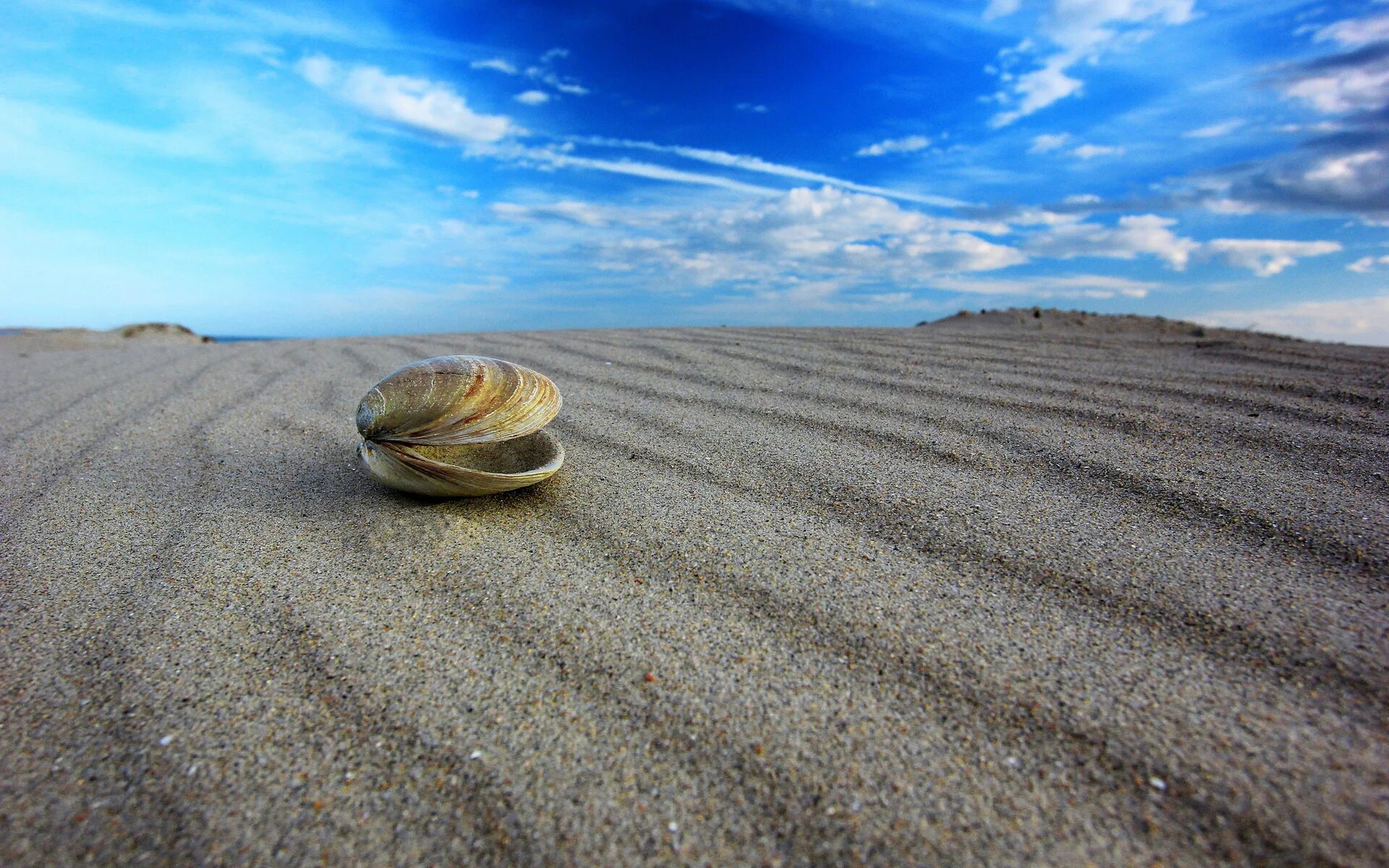 Shell path