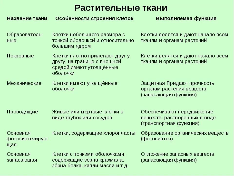 Ткани растений 6 видов