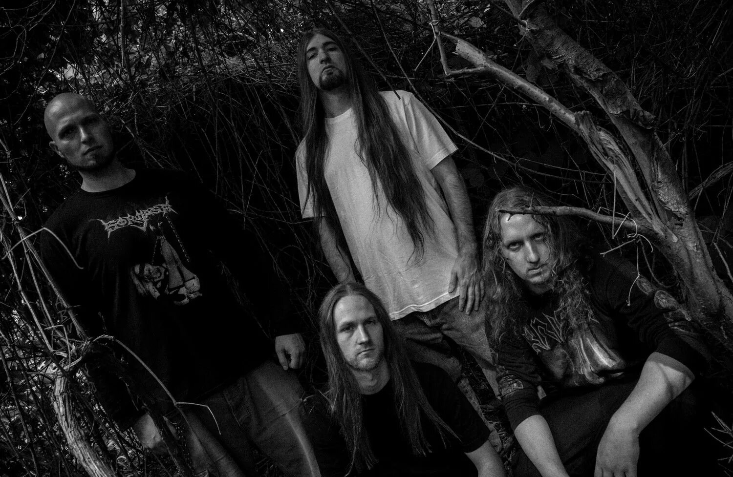 Defeated трек. Defeated sanity band. sanitys fall группа. defeated sanity группа.