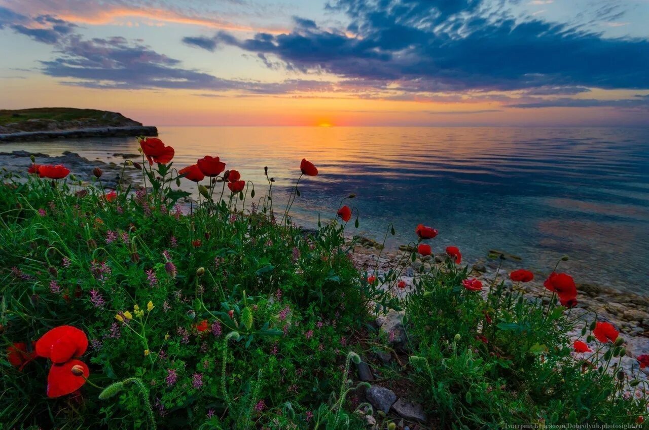 Море цветов море цвета