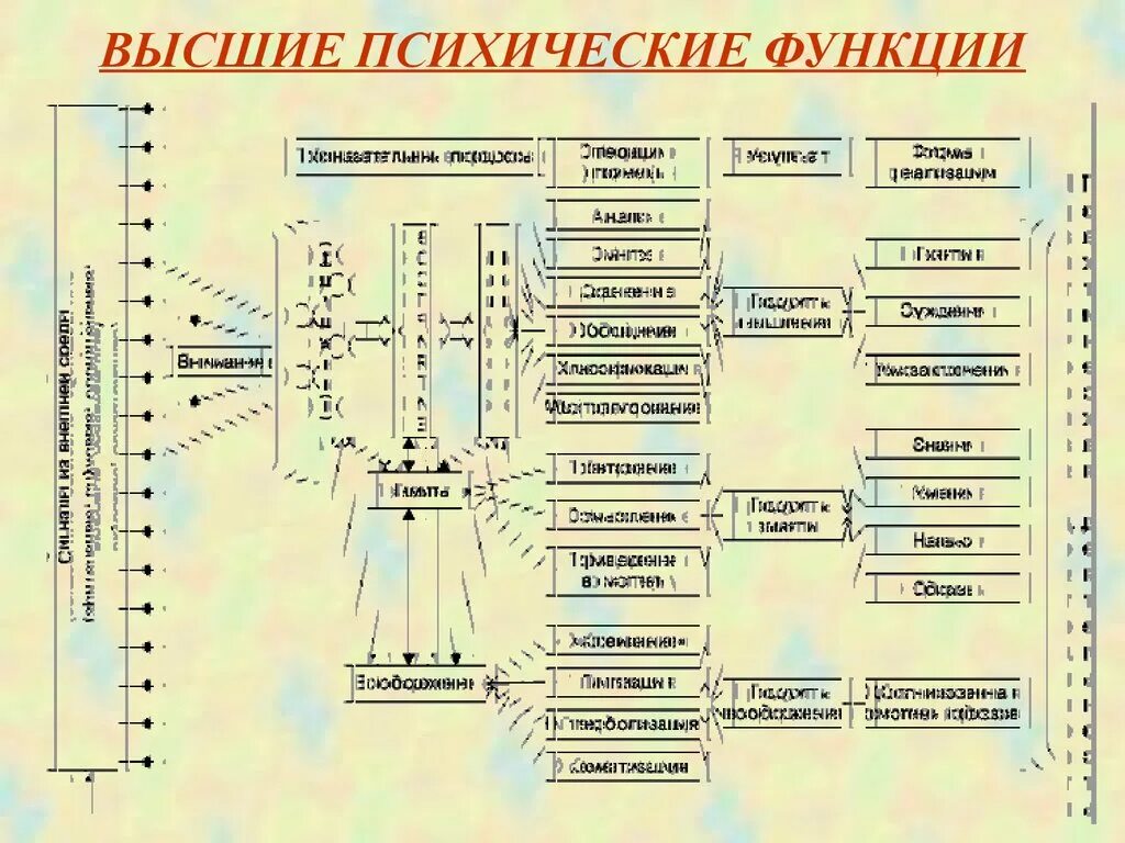 Высшие психические функции характеризуются. Вышепсихиеские функции. Высшие психические функции список. Психические функции человека.