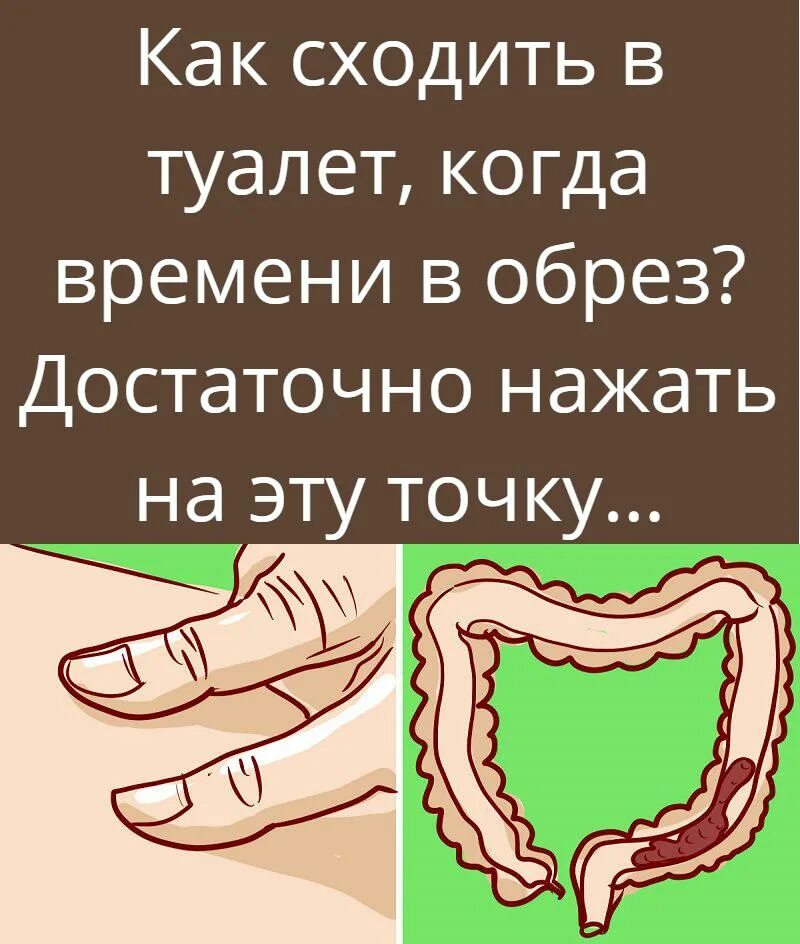 Как сходить по большому при запоре быстро. Упражнения чтобы сходить в туалет. как сходить в туалет по большому при запоре. как сходить в туалет пит запоре. упражнения для туалета по большому.