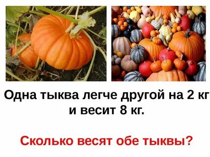 1 тыква сколько кг