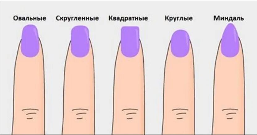 Какую форму придать. Какую форму придать