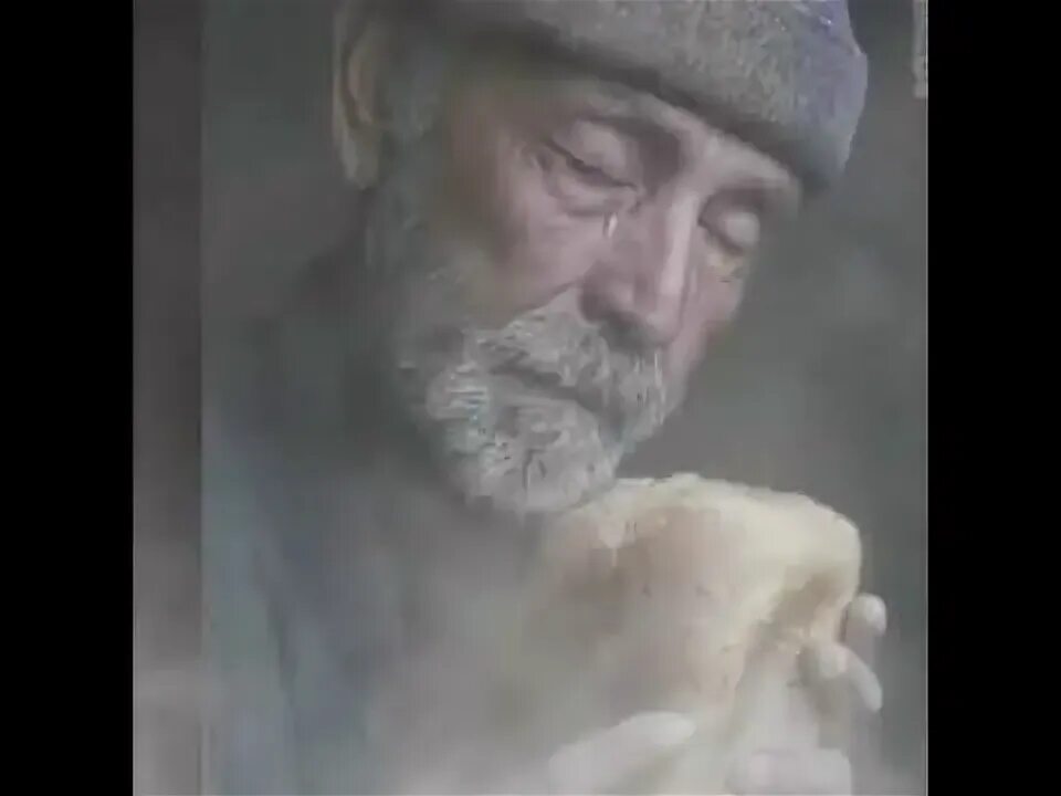 Шукур килинг. Шукур крымшамхалов. шукур аббасов. хамраев шукур рузикулович.