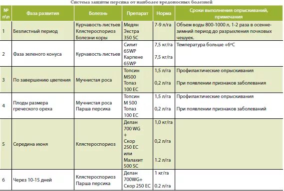 Развести медный купорос для обработки деревьев весной. Медный купорос для обработки роз весной. Пропорции медного купороса для обработки деревьев. Разведение медного купороса для обработки деревьев.