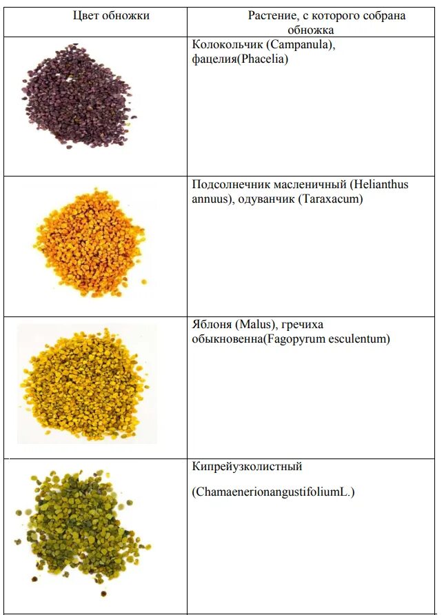 Цвет пчелиной обножки таблица. Таблица цвета пыльцы. Цвет пыльцы разных медоносов. Пыльца растений медоносов. Список пыльца