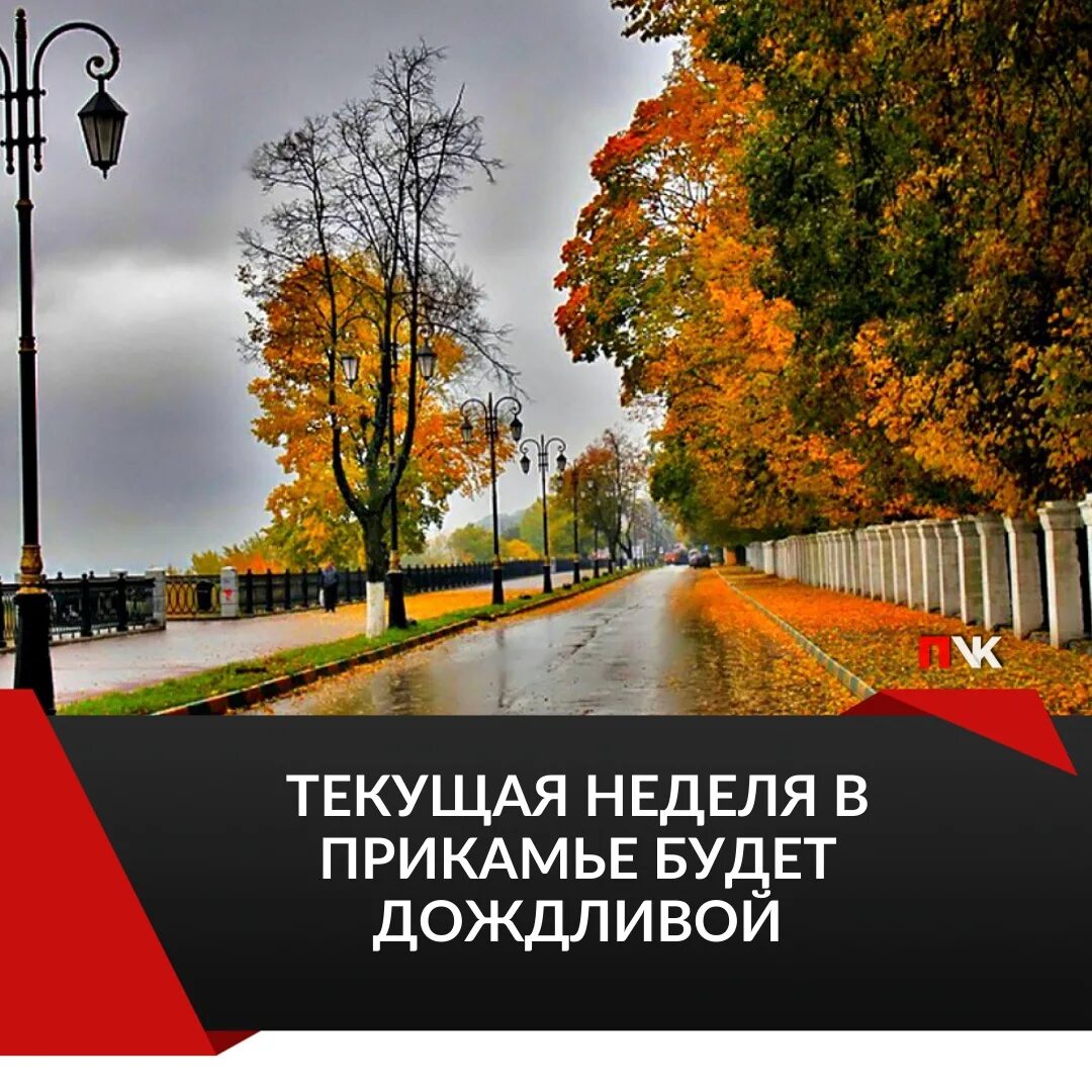 Товар недели. Законопроект о цифровом рублей картинки. Неделе или недели как правильно. Конец рабочеготдня приколы. До конца текущей недели.