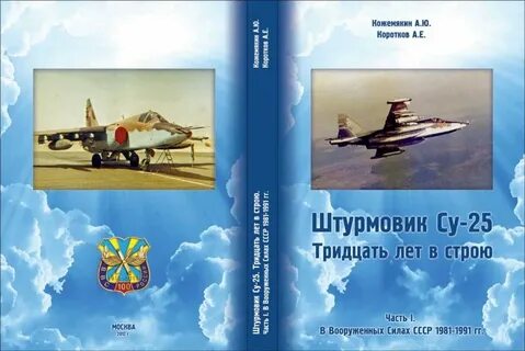 Книга штурмовик