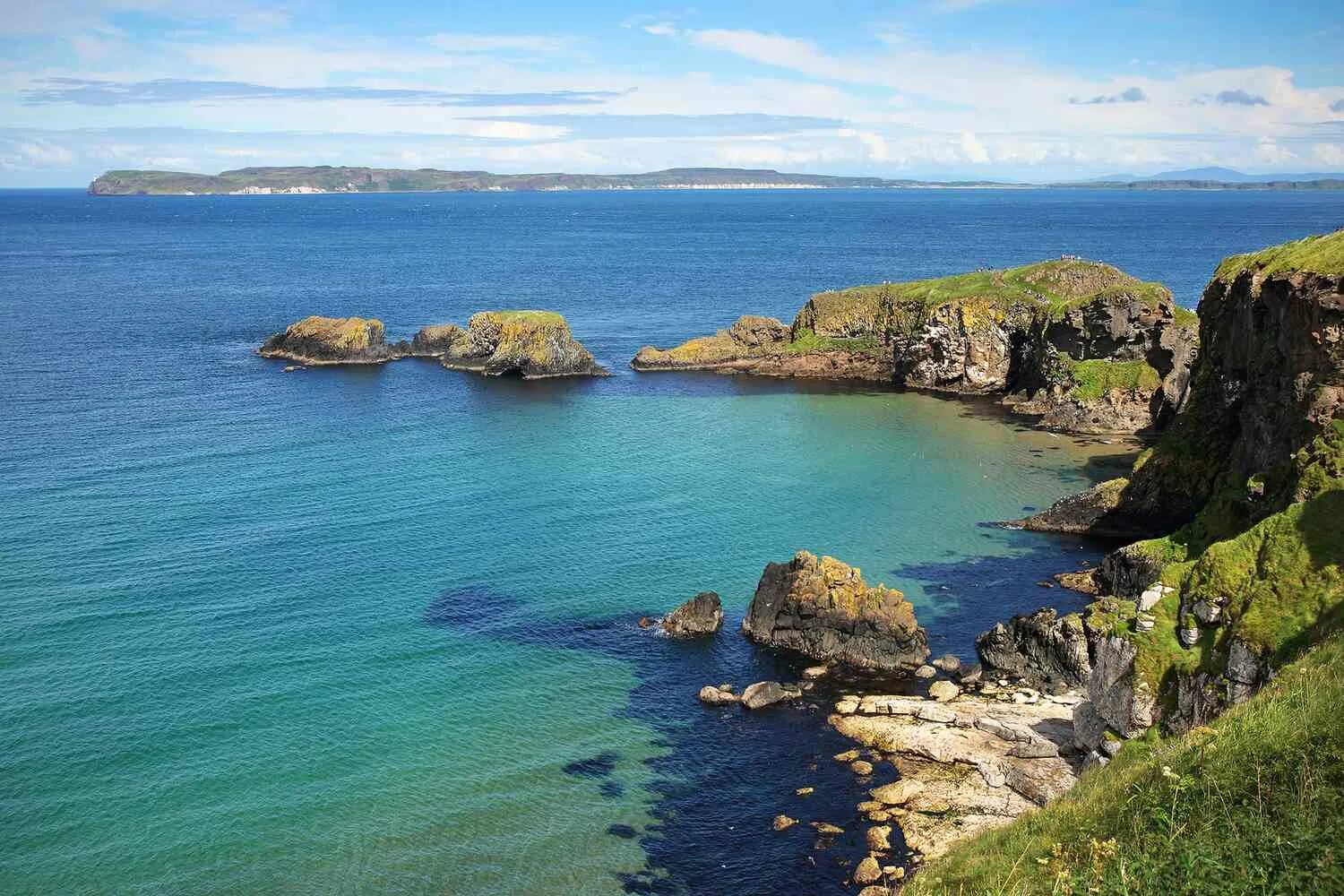 Coast areas. Coastal area. Coastal Gorse.. Coast. Coastal Sheap.