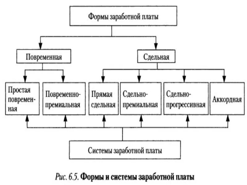 Бухгалтерия заработной платы. Виды заработной платы в бухгалтерском учете. организация бухгалтерского учета заработной платы. учет труда и заработной платы. схема учета заработной платы.