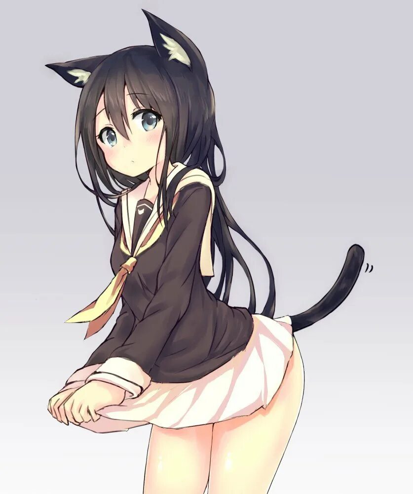 Asashio kantai collection неко. Кошкодевочки геншин. Некко тянка. Тянки с ушками. Shirakami fubuki hololive.