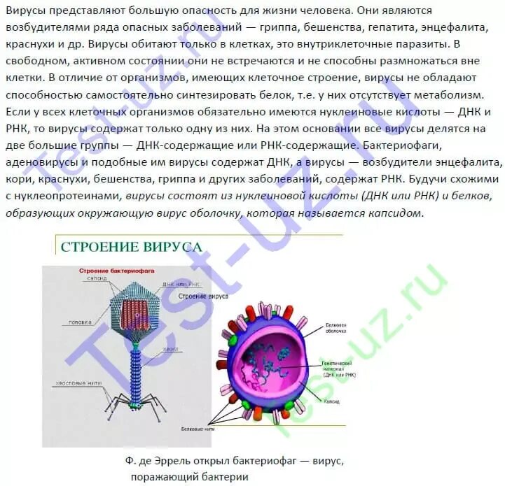 Сколько вирус живет в организме. Вирусы как неклеточная форма жизни и их значение. Тест неклеточные формы жизни вирусы ответы. Неклеточная форма - вирусы кратко. Вирусы неклеточные формы жизни 5 класс ответы.