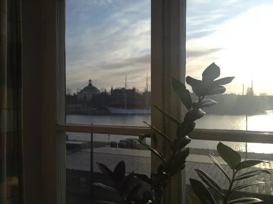 Утро видишь из окна. Магадан вид из окна. Magadan вид из окна. Истра утро из окна. Ботаника отель Архангельск вид из окна.