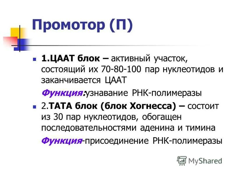 Координаты генома. Промотор рнк полимераза. Инициация транскрипции у эукариот схема. Промоторы рнк-полимеразы i. Промотор рнк полимеразы 2.