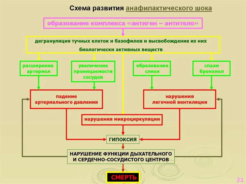 Схема развития шока. Механизм развития шока. Патогенез анафилактического шока. Патогенез анафилактического шока схема.