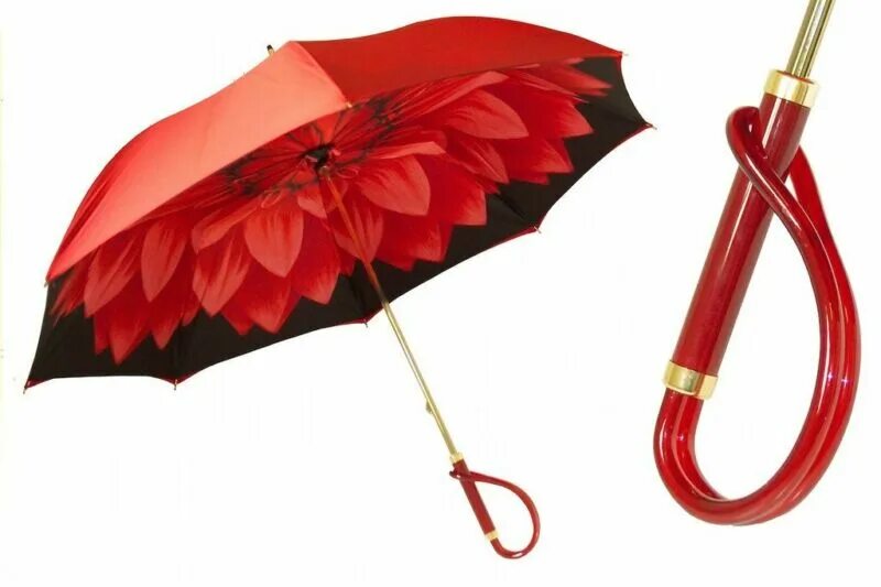 Подарить зонтик. Pasotti Ombrelli зонты. Зонт banders Umbrella. Бандерас умбрелла зонт. Зонт трость локситан.