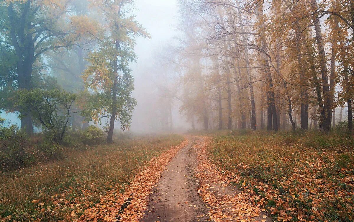 Осенний туман слова. Комплект осенний туман drops. песня осенний туман. смотреть клип осенний туман. смотреть клип на песню осенний туман.