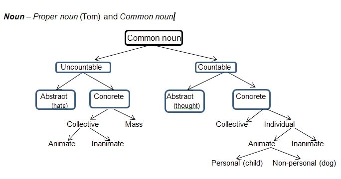 Common nouns в английском языке. Types of adjectives английского. Slunk away. Kinds of nouns. Proper positioning.