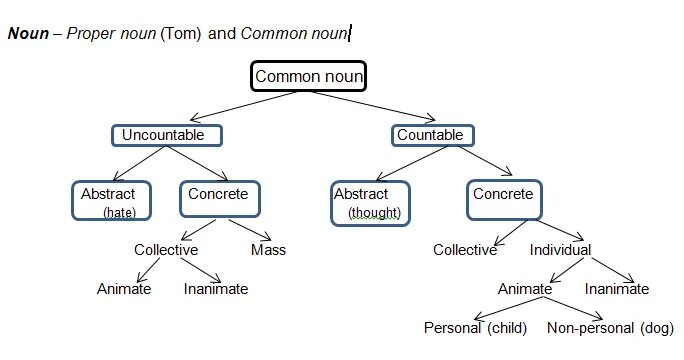 Common and different. Class Nouns примеры. Classification of Nouns. Class Nouns в английском. Semantic classification of Nouns.