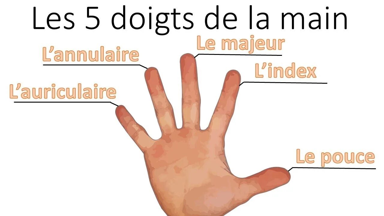 Nom des