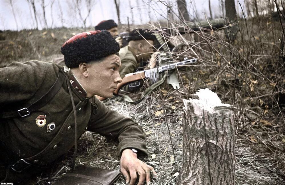 Про разведчиков 1941. Казаки на войне 1941-1945. казаки в великой отечественной войне. разведчик казак. казаки 1941.