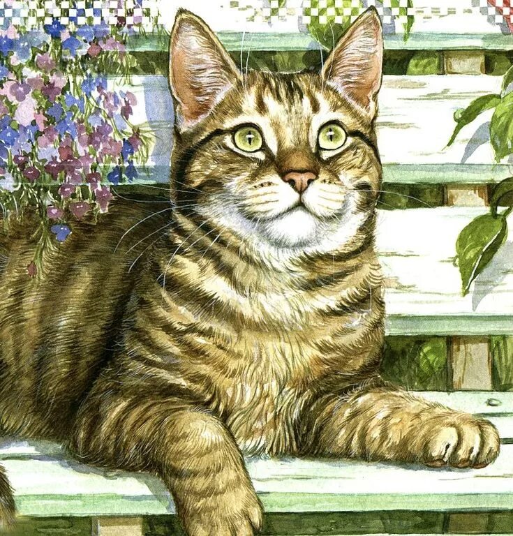 Дай картинок кошек картинок. Спящие котята. Дебби кук картины. Кошка рисунок цветной. Котёнок-ребёнок.