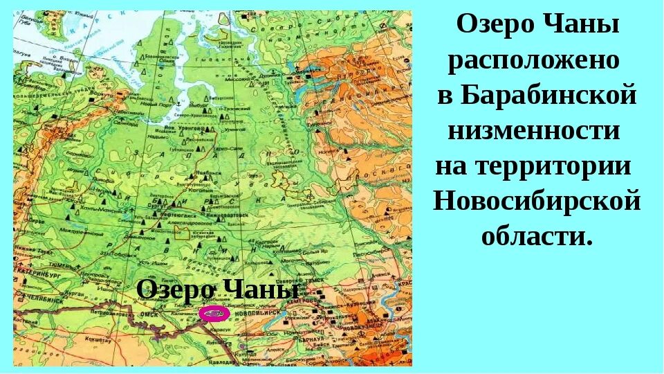 Озеро Чаны на карте России в атласе. Озеро Чаны Западная Сибирь равнина. Барабинская низменность Новосибирская область. Карта России озеро Чаны на карте. Выберите город расположенный в западной сибири