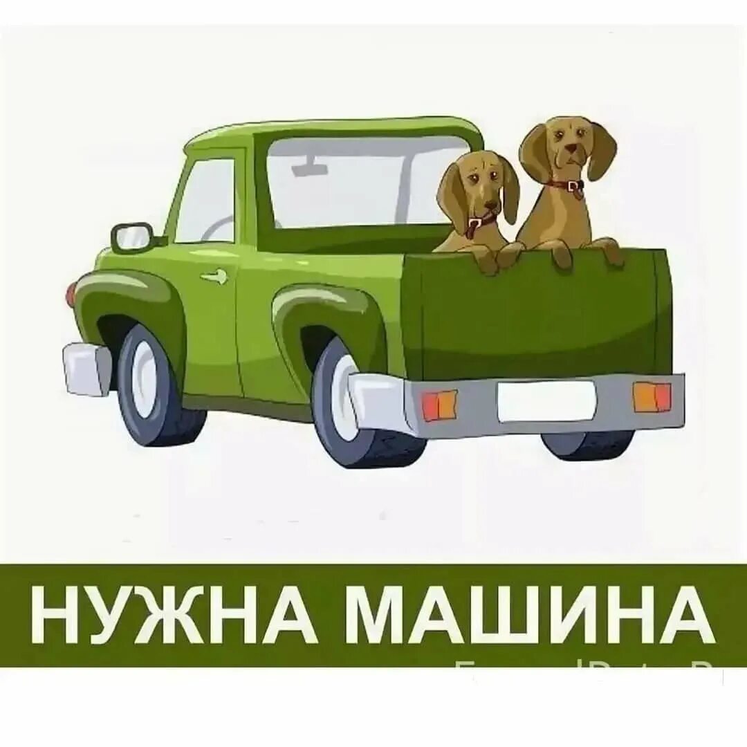 Отогрев авто. Авто рынок новосибирский. Нужна помощь машиной. Авторынок столица новосибирск. Нужна машина новосибирск.