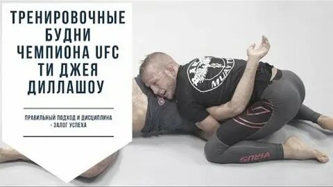 Высшая дисциплина