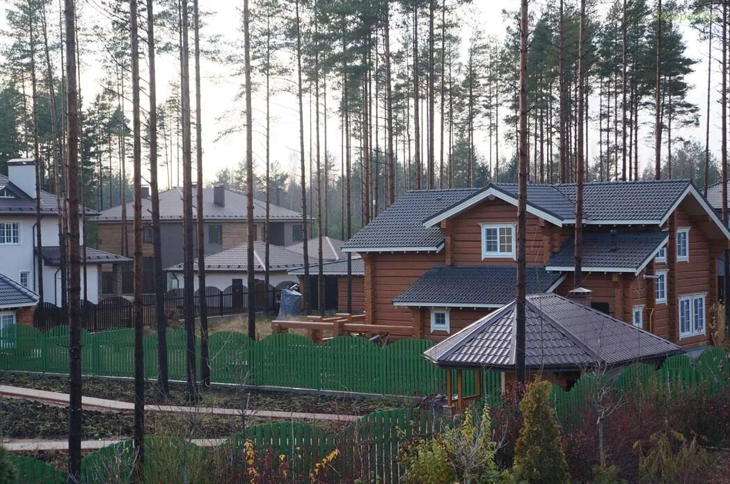 Кп солнечный бор всеволожский район. Поселок солнечный бор. Солнечный бор, коттеджный посёлок солнечный бор. Солнечный бор, коттеджный посёлок солнечный бор. Поселок солнечный бор.