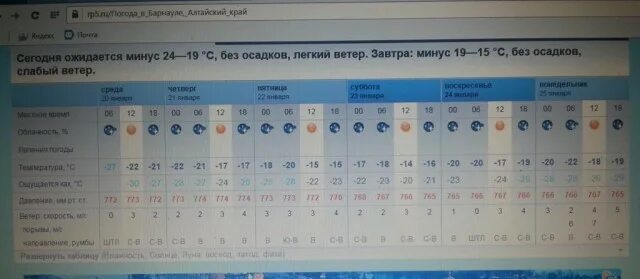 Погода в барнауле на 14. Погода в Барнауле. Погода Алтайский край Барнаул.