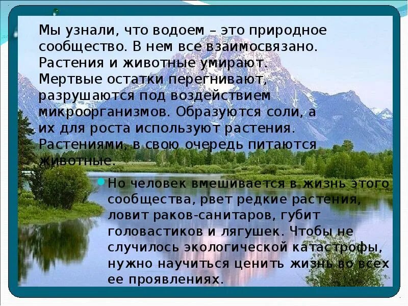 Сообщение на тему водоем. Природное сообщество водоем. доклад о водоемах. презентация на тему водоемы. рассказ о природном сообществе водоем.