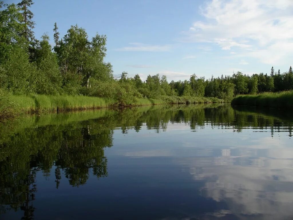 Погода в вирандозере