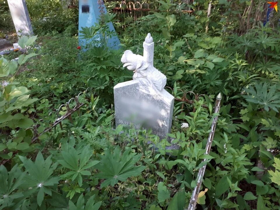 Ягодное екатеринбург. Дичнянское кладбище поворот на дубки. Александровское кладбище санкт-петербург. Памятники на кладбище. Александровское кладбище ижевск.