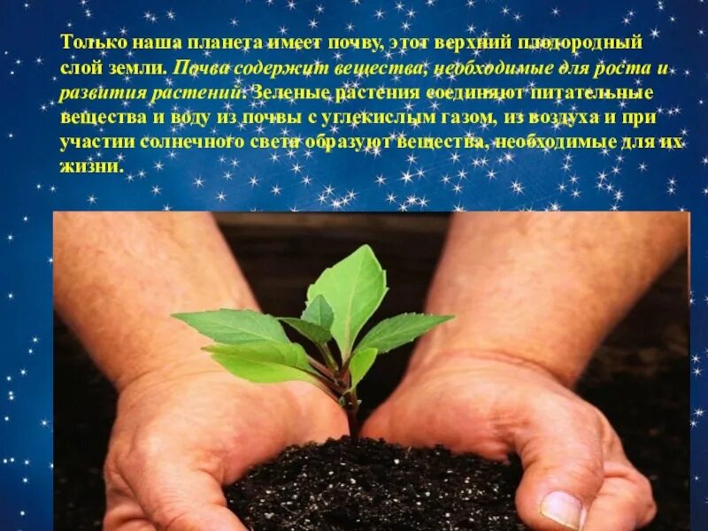 Какие значение имеют зеленые растения. Какое значение для жизни на нашей планете имеют зеленые растения. Почва содержит вещества, необходимые для роста и развития растений.. Какое значение имеют зеленые растения для нашей планеты.