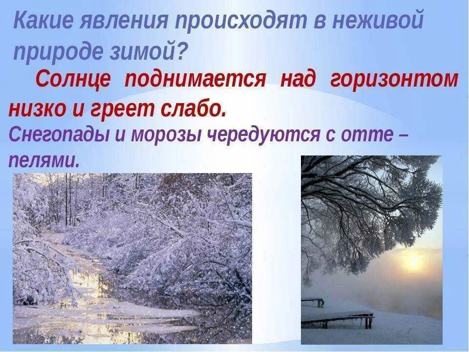 Названия зимних месяцев связанные с явлениями неживой. Явления природы зимой. зимние явления в неживой природе. зимние явления в живой природе. явления живой природы зимой.