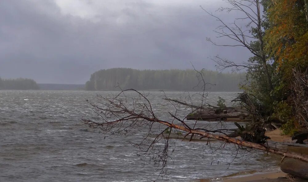 Уровень воды в реке унжа в макарьеве. Река Унжа Нижегородская область. Унжа Макарьевский район. Соловатово река Унжа Макарьевский район. Река Унжа Кадыйский район острова.