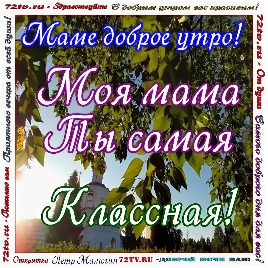 Стихи добро утром мама. Любимой маме с добрым утром. Доброе утро мамочка любимая родная. С добрым утром мама стихи от сына. Доброе утро моя любимая мамочка.