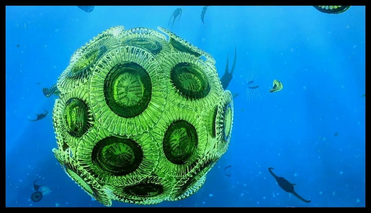 Фитопланктон водоросли. Растительный планктон. Планктон водоросли. Планктон фото. Фитопланктон мирового океана.